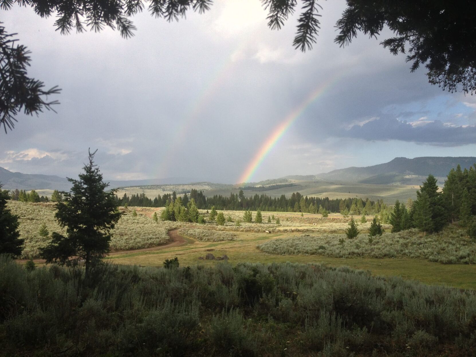 Sandi Reynolds - Picnic Hollow (Summer 2014)
